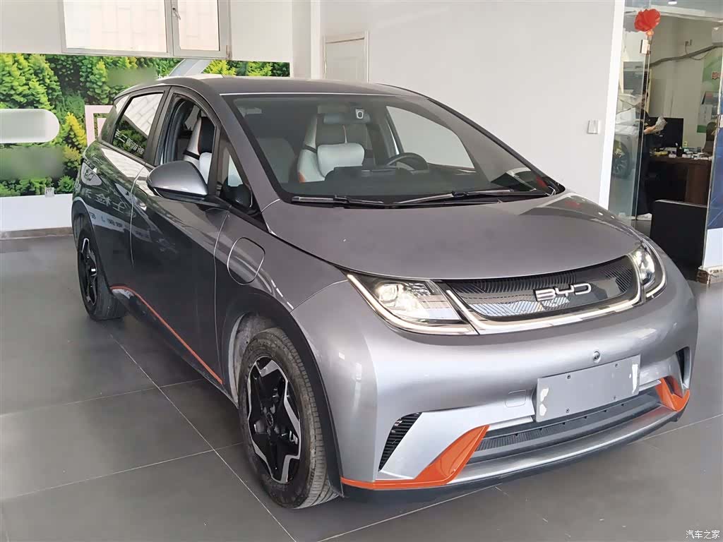 BYD Dolphin, 2022 4