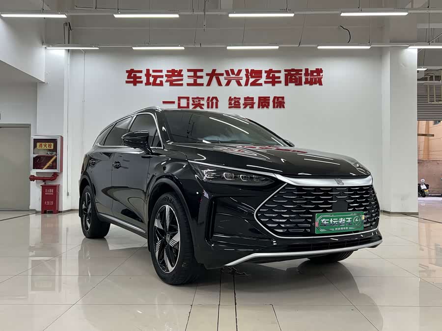 BYD Tang New Energy 2024, фото 3