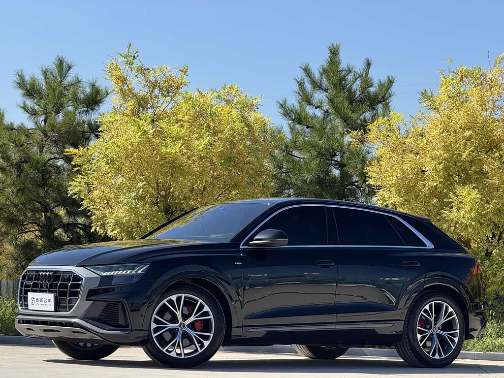 Audi Q8 2022 55 TFSI