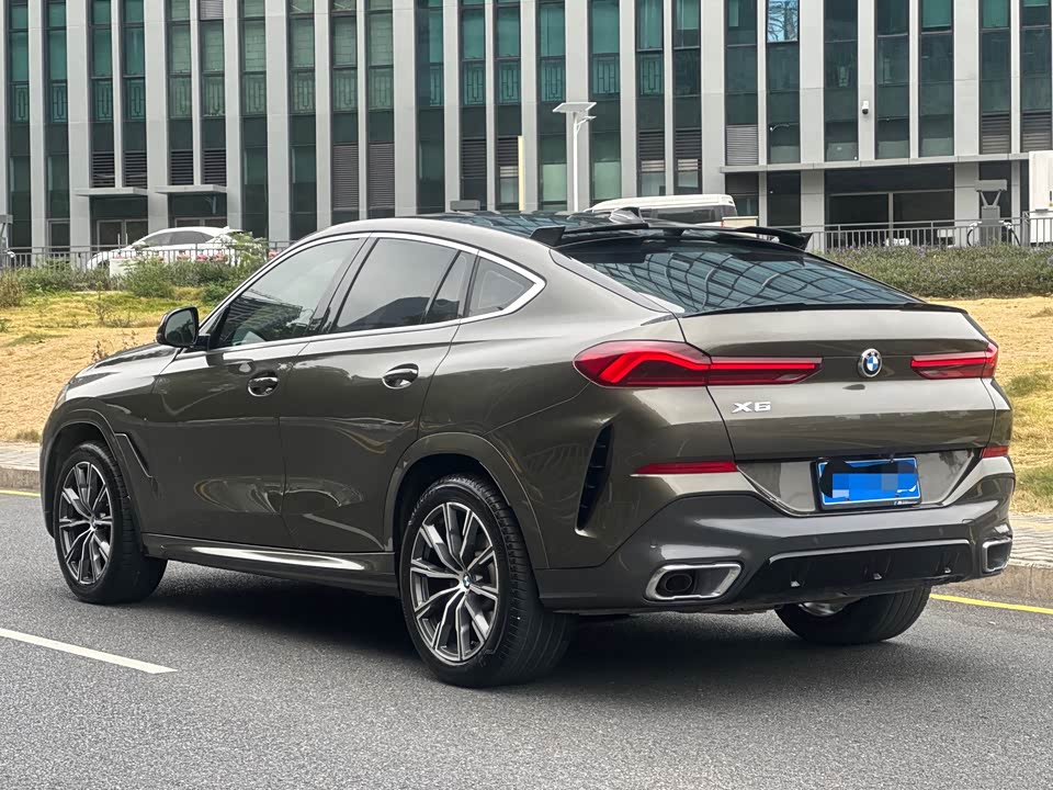 BMW X6