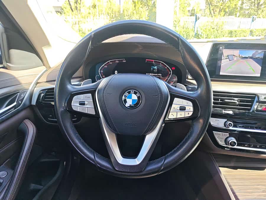 BMW 5 Series 2020, фото 19