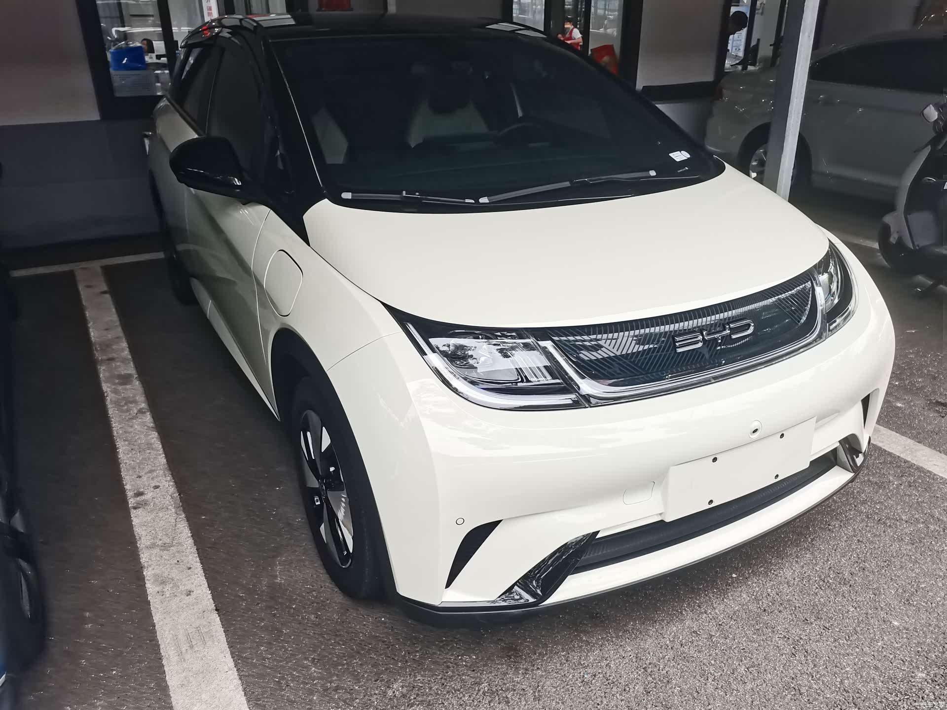 BYD Dolphin, 2023 3