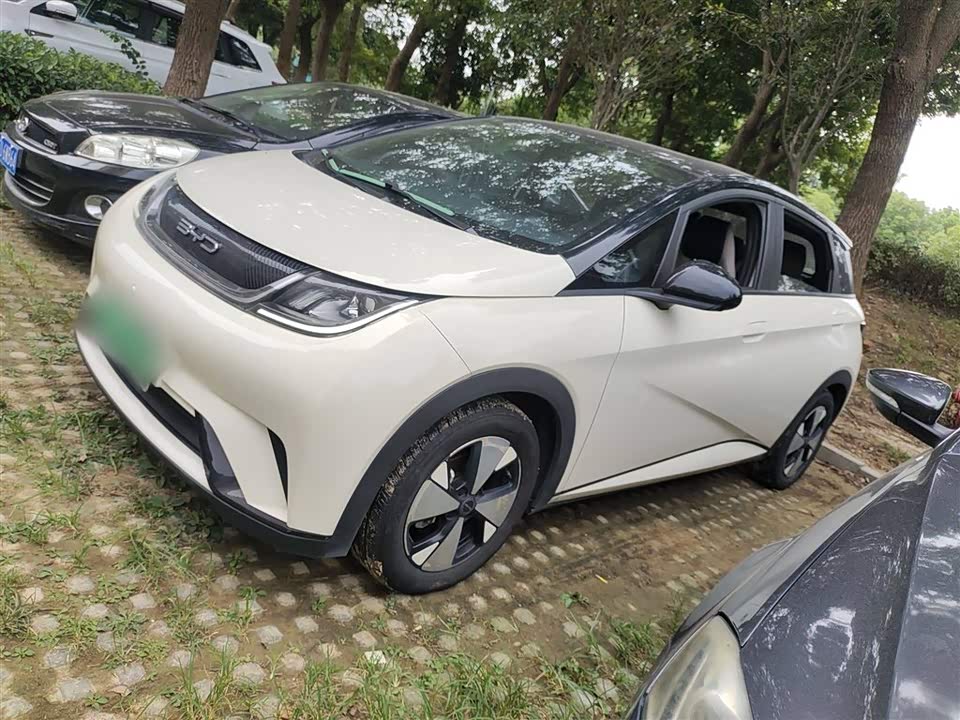 BYD dolphin BYD dolphin
