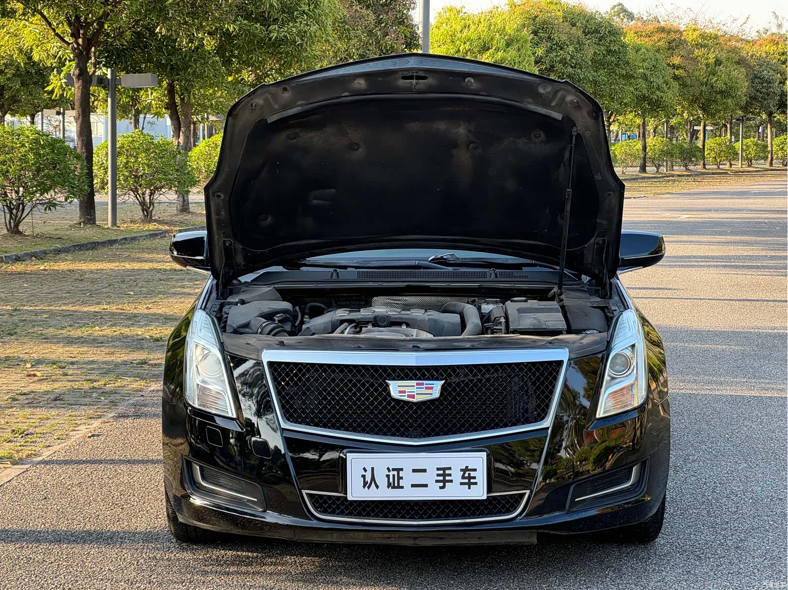 Cadillac XTS, 2013 15