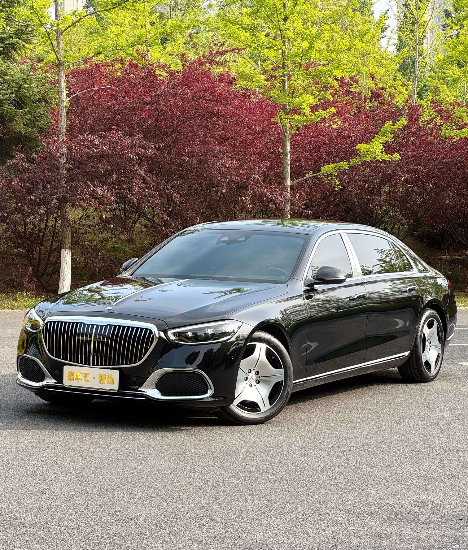 Maybach S-Class, 2021 4