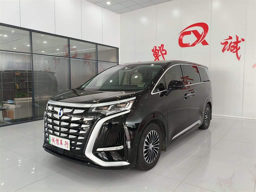 Denza D9