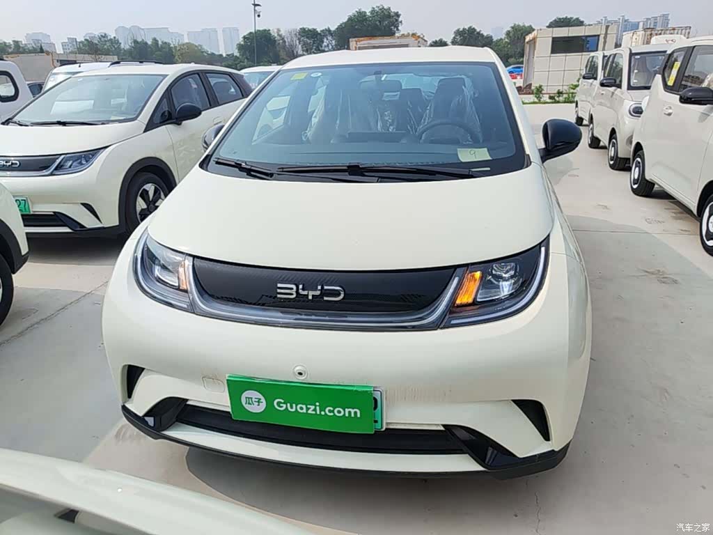 BYD Dolphin, 2026 3