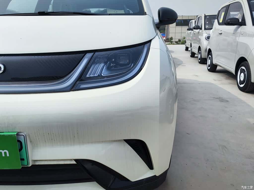 BYD Dolphin, 2026 24
