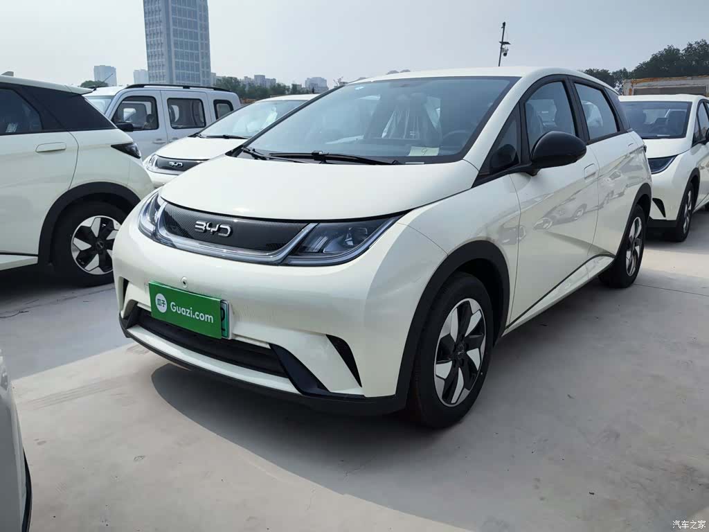 BYD Dolphin, 2026 2