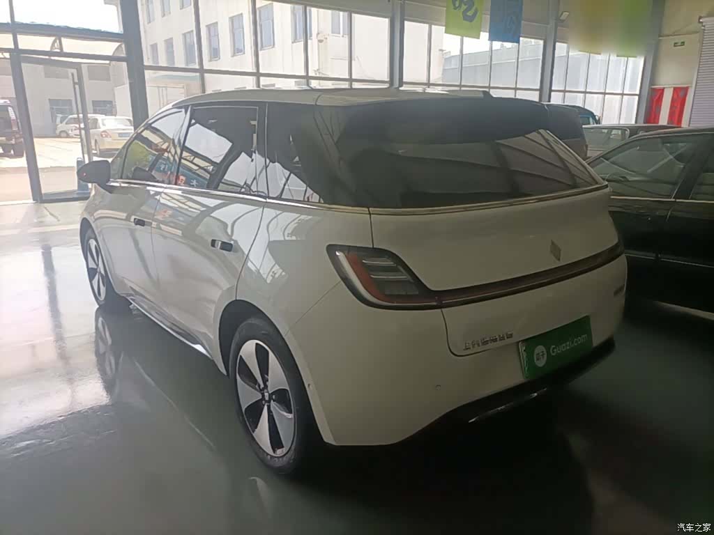Wuling 460, 2023 все фото