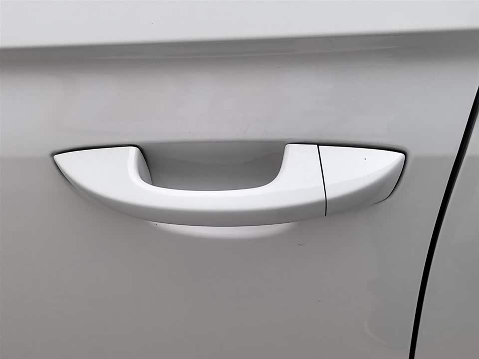 Volkswagen C-TREK Wei Collar