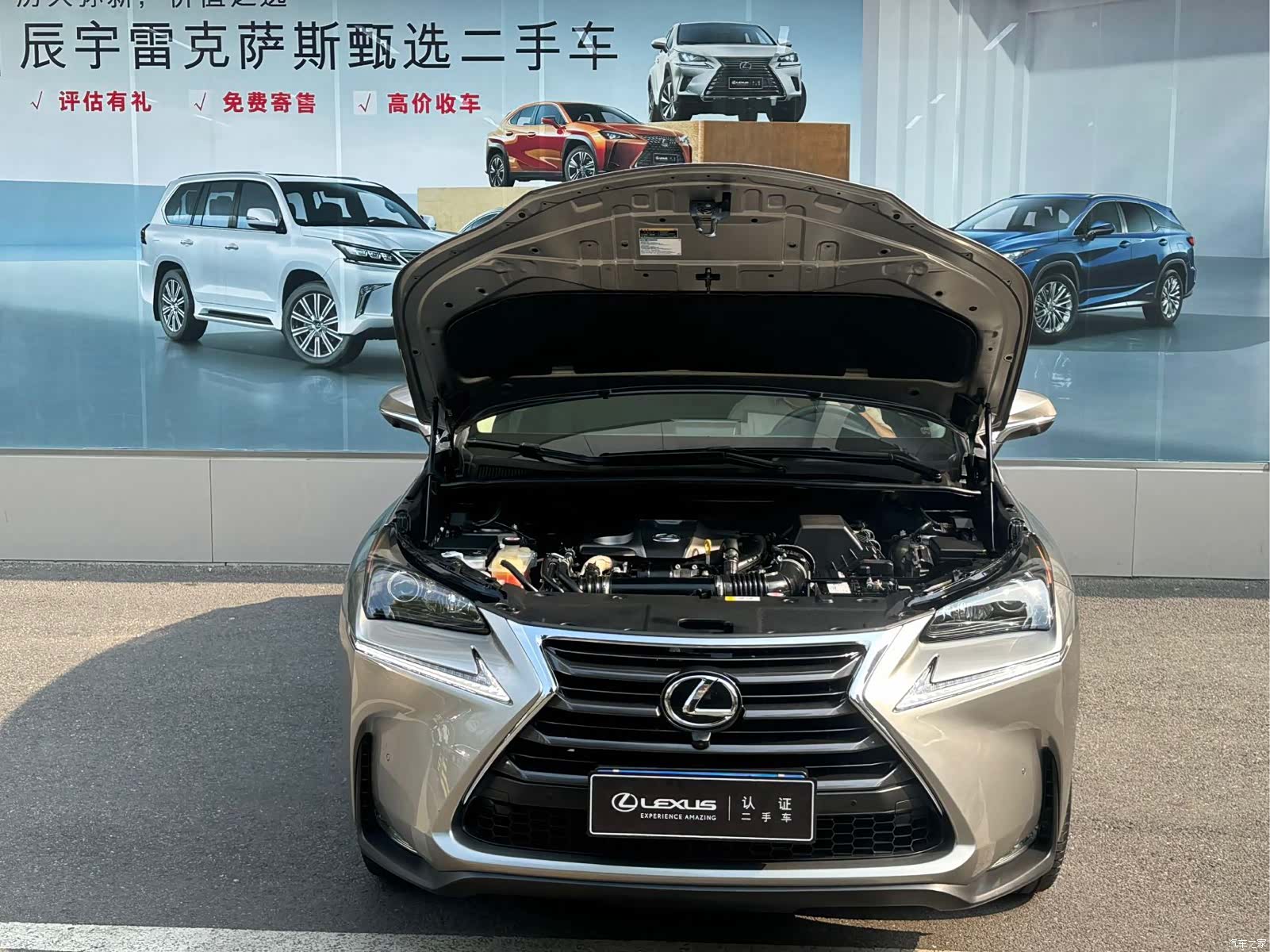 Lexus NX, 2015 3