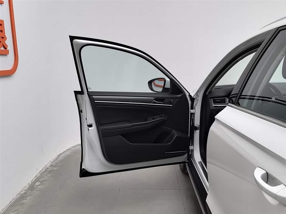 Volkswagen C-TREK Wei Collar