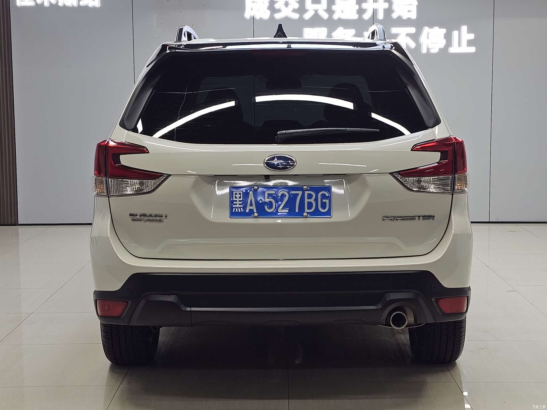 Subaru Forester, 2024 все фото