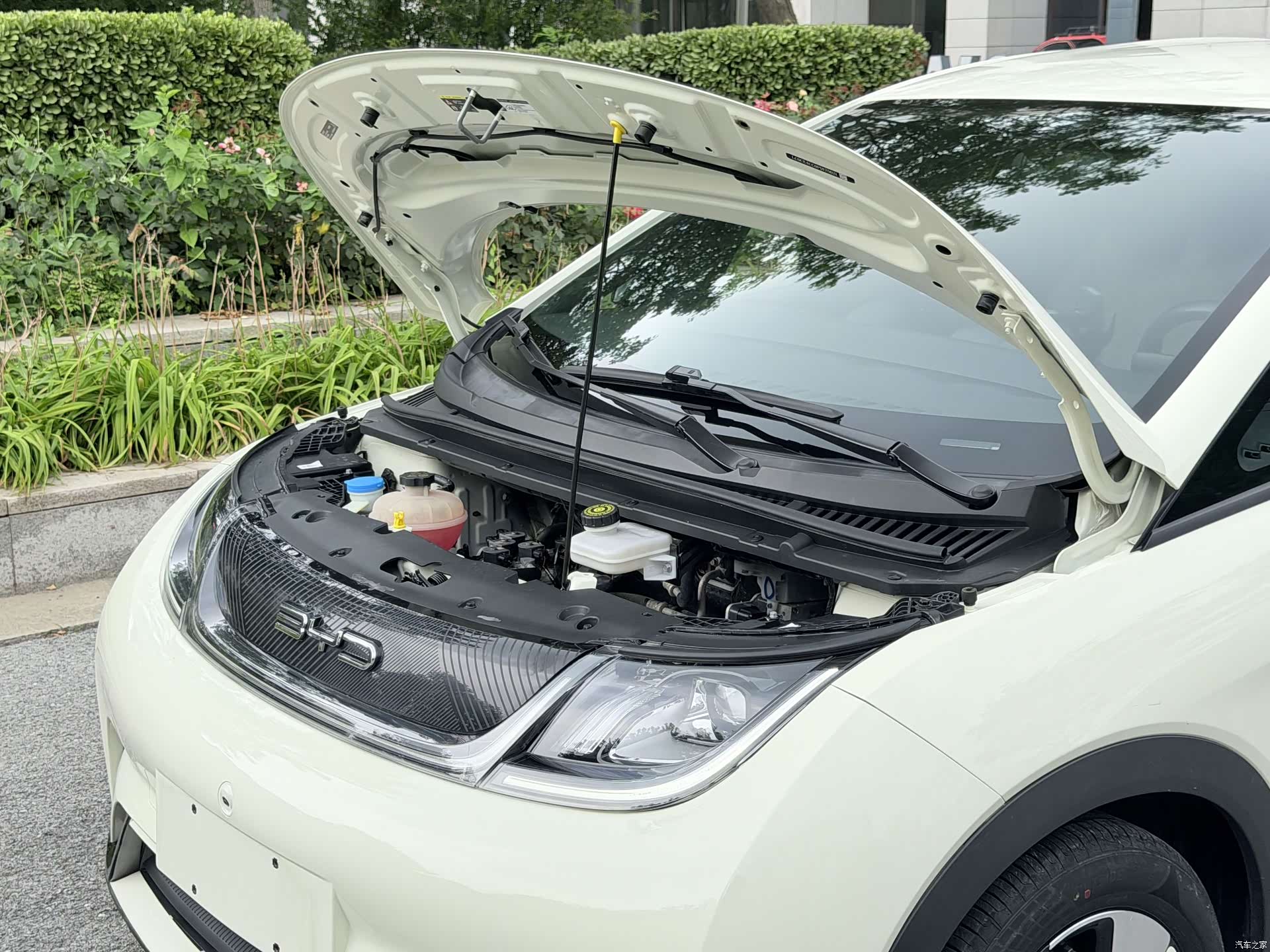 BYD Dolphin, 2023 24