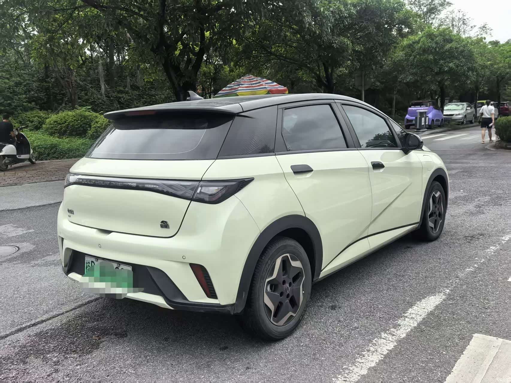 BYD Dolphin, 2022 4