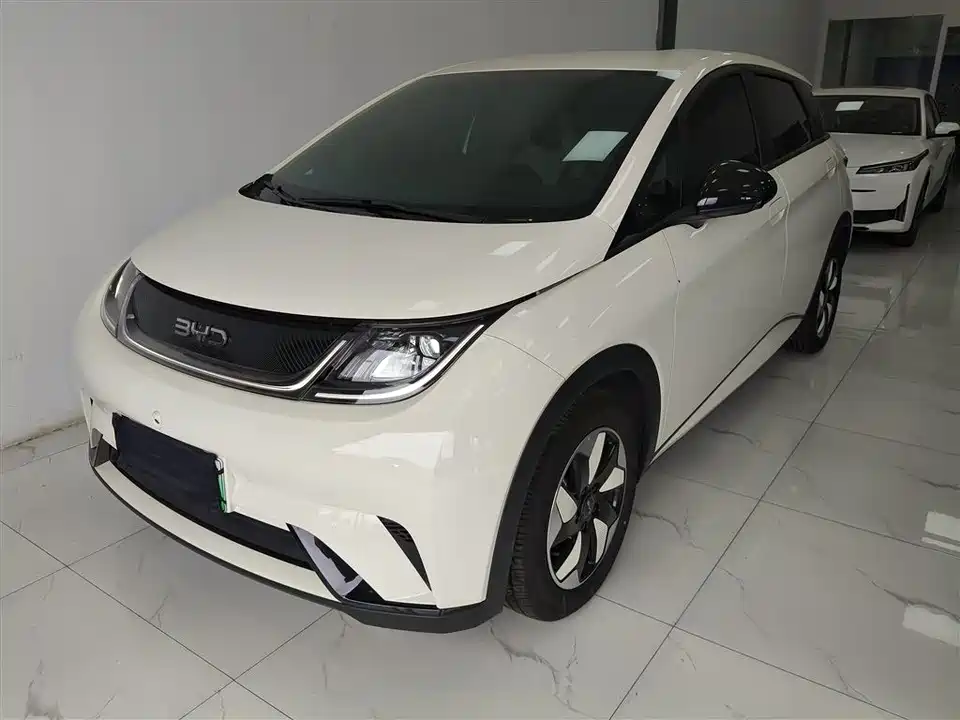 BYD dolphin