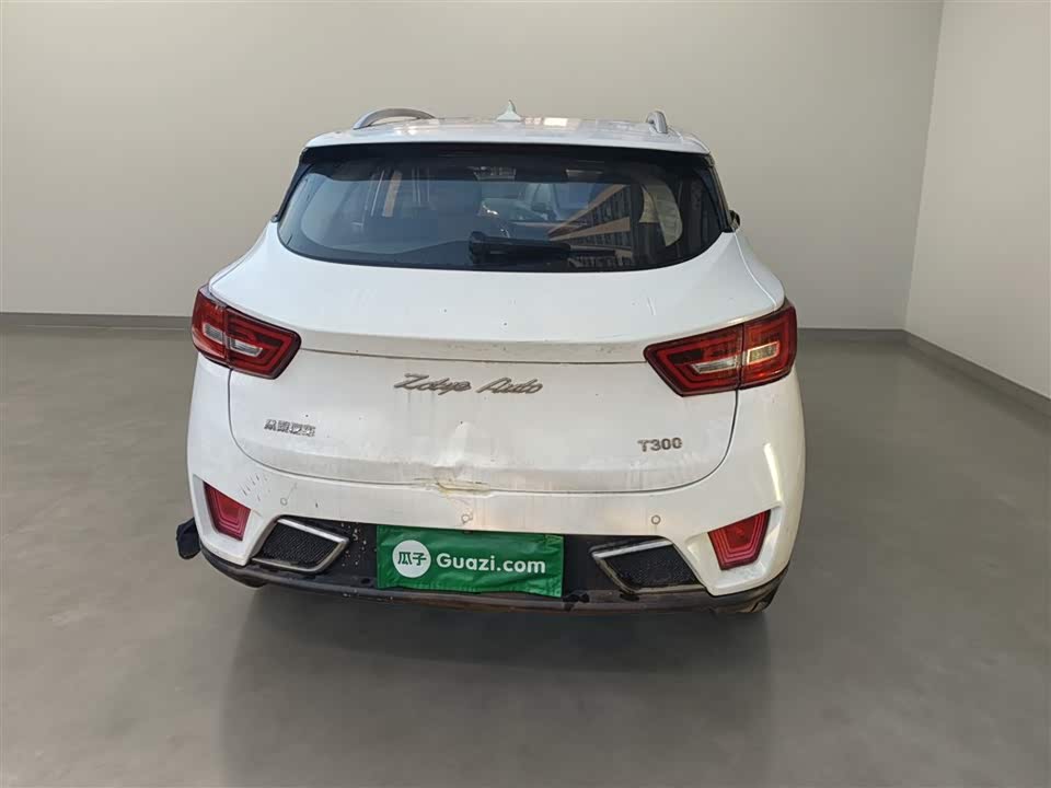 Zotye T300