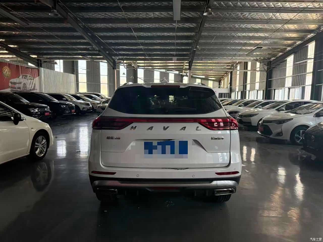 Haval H6, 2023 все фото