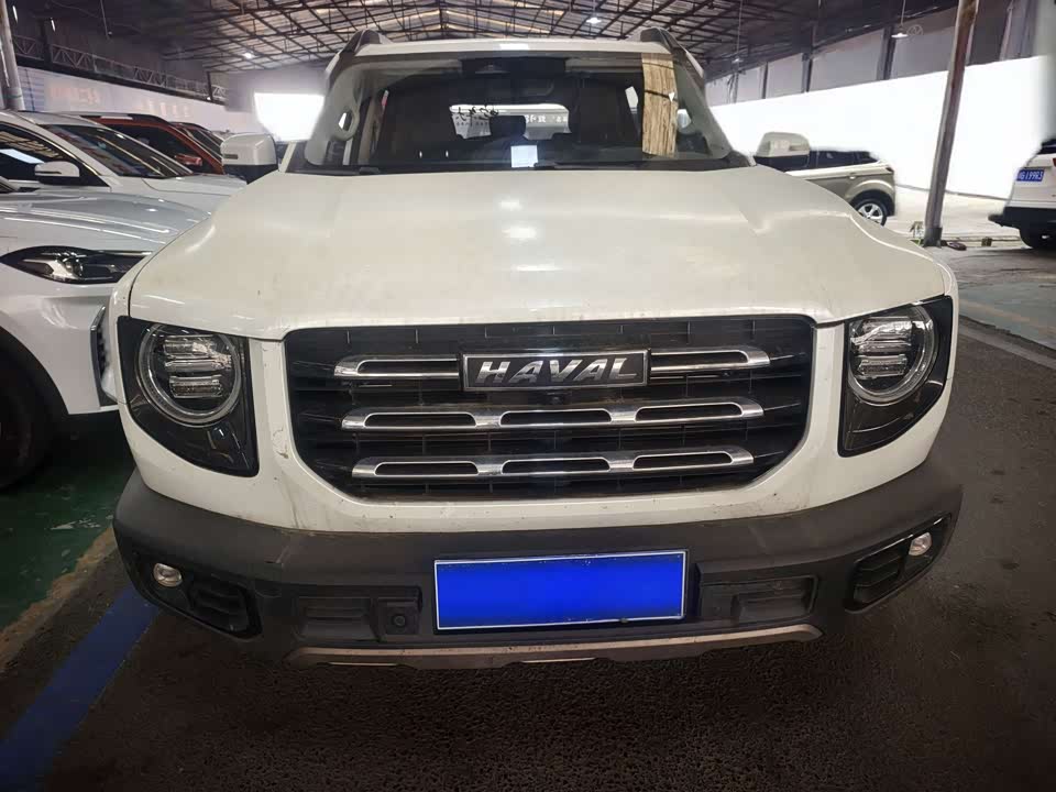Haval Big dog