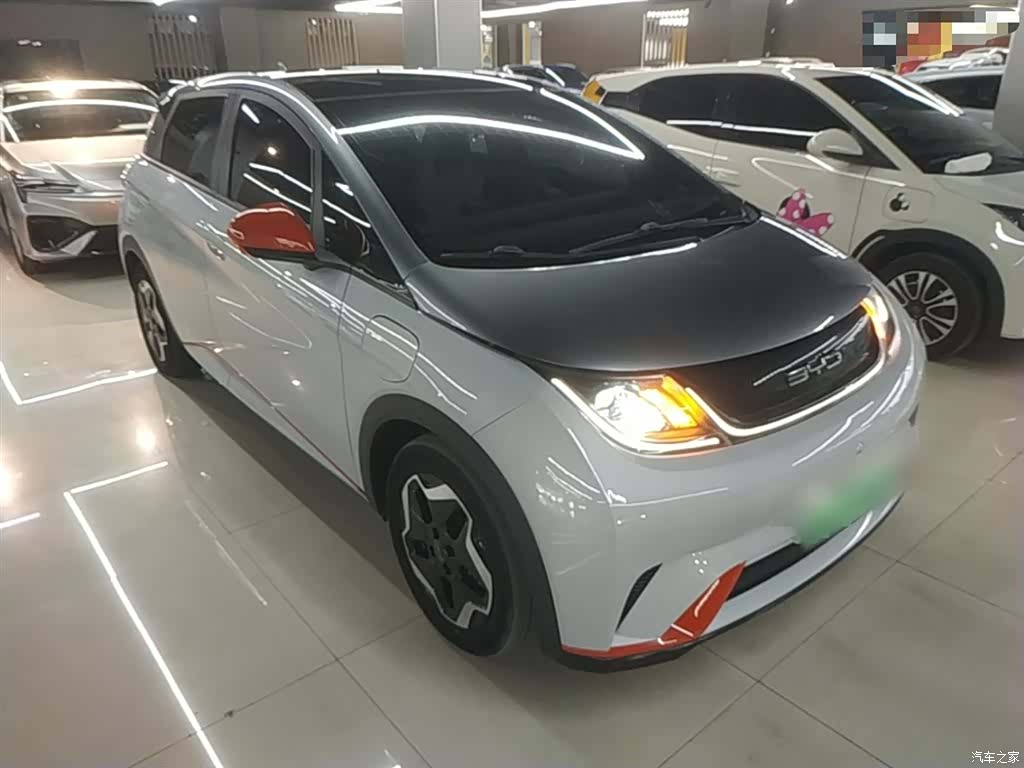 BYD Dolphin, 2022 4