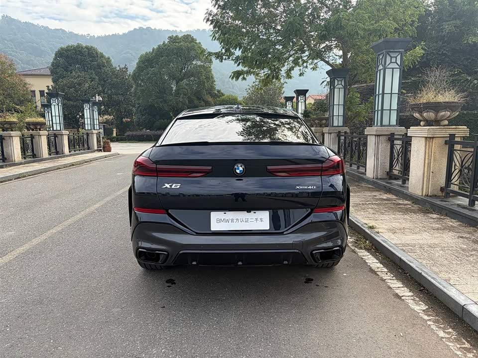BMW X6