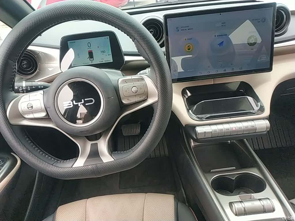 BYD Dolphin, 2024 14