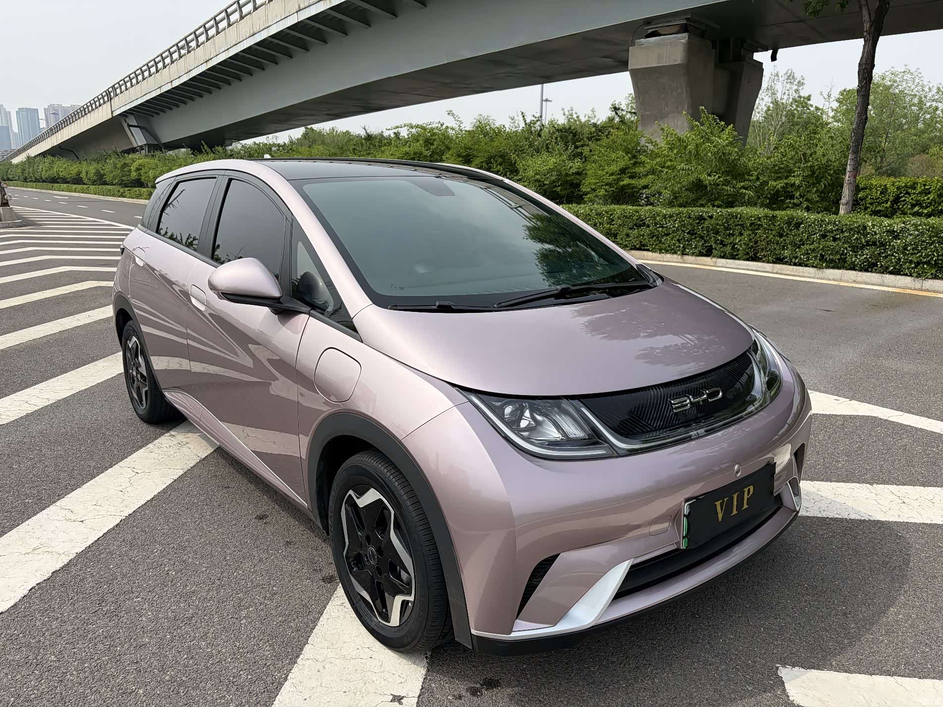 BYD Dolphin, 2023 3