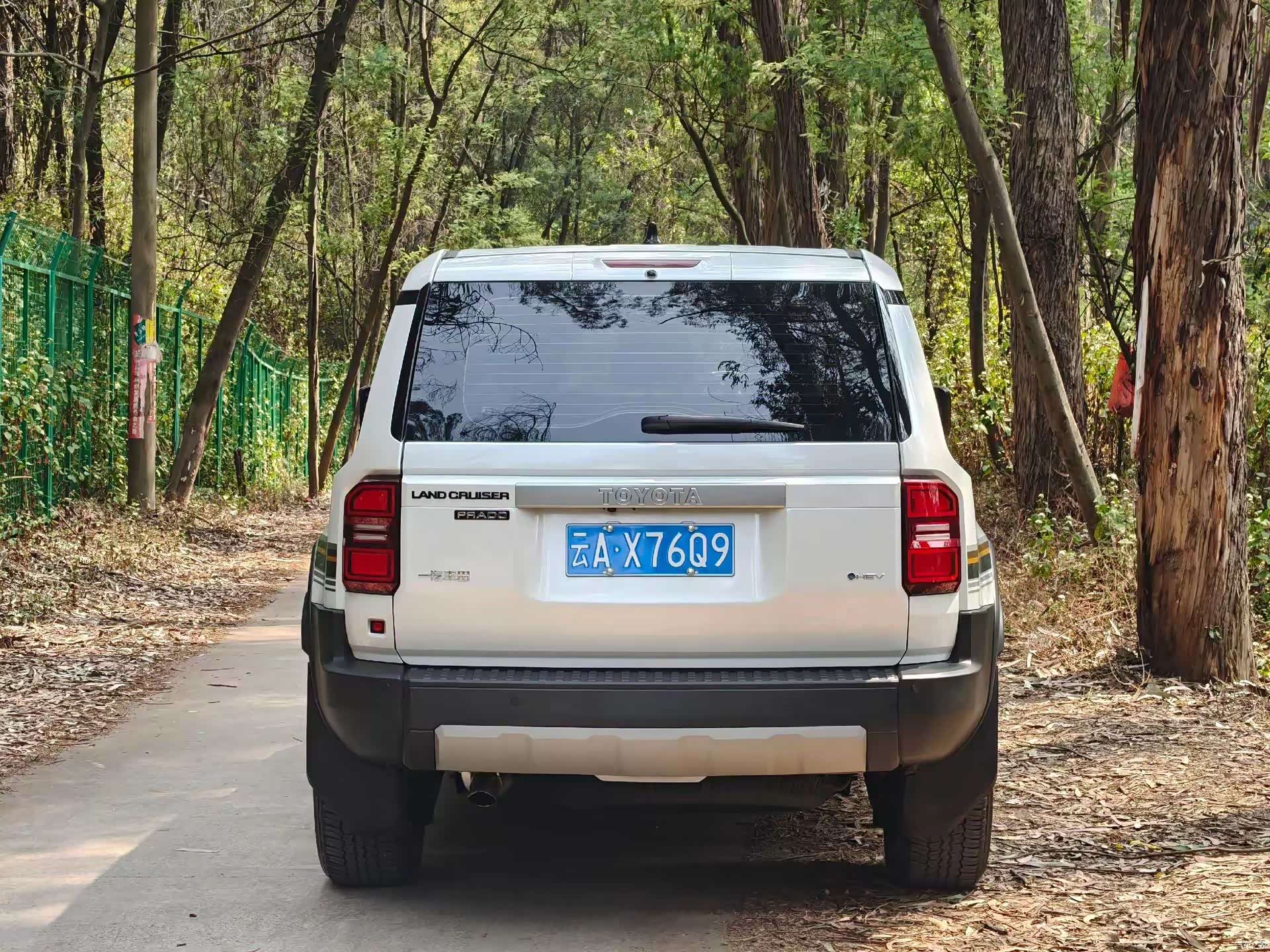 Toyota Prado, 2024 6