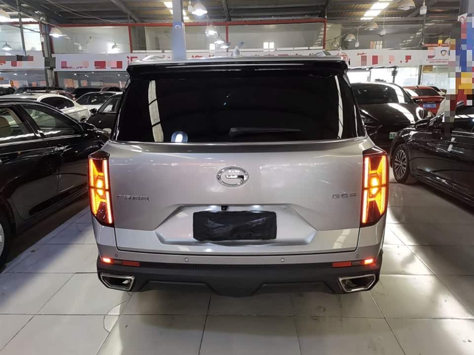 Trumpchi Trumpchi GS8