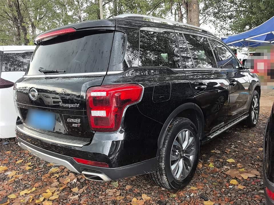 Trumpchi Trumpchi GS8 Trumpchi Trumpchi GS8