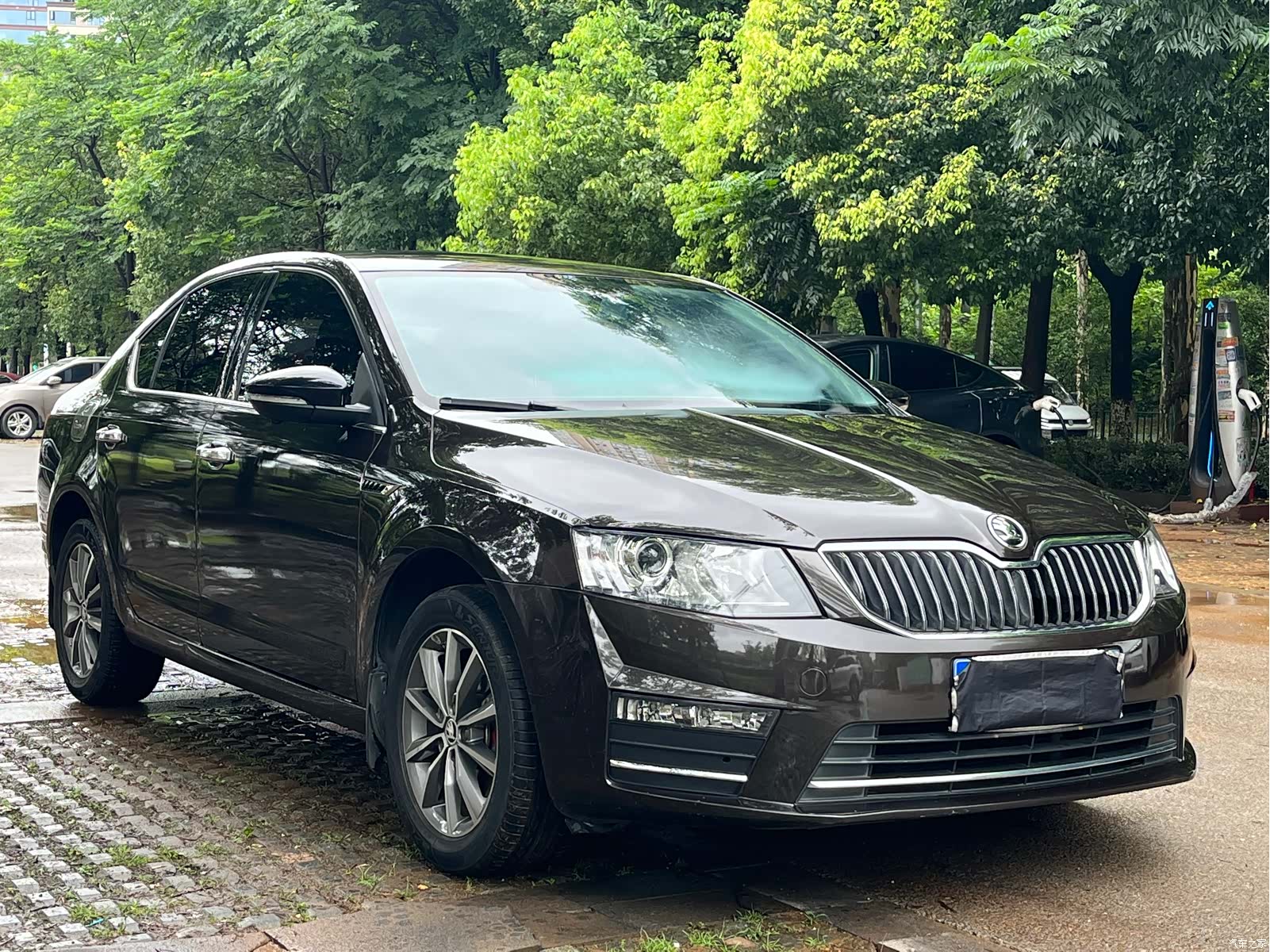 Skoda Octavia, 2016 3
