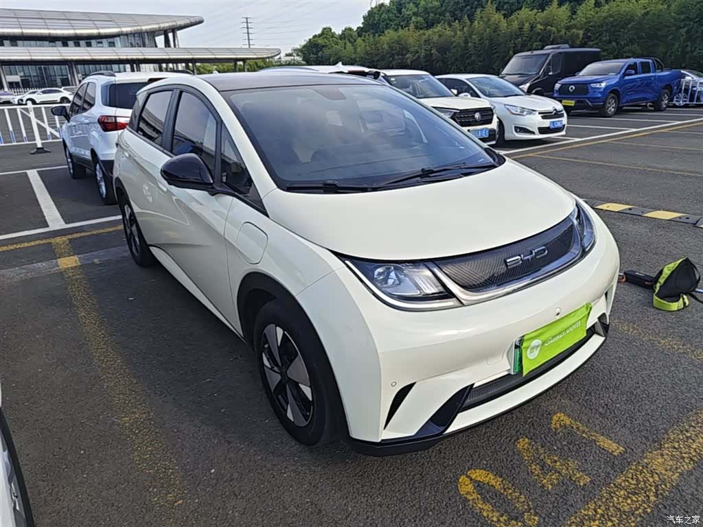BYD Dolphin, 2024 4