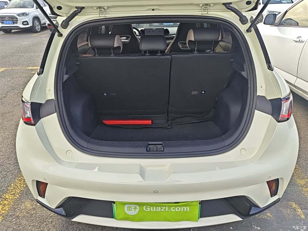 BYD Dolphin, 2024 19