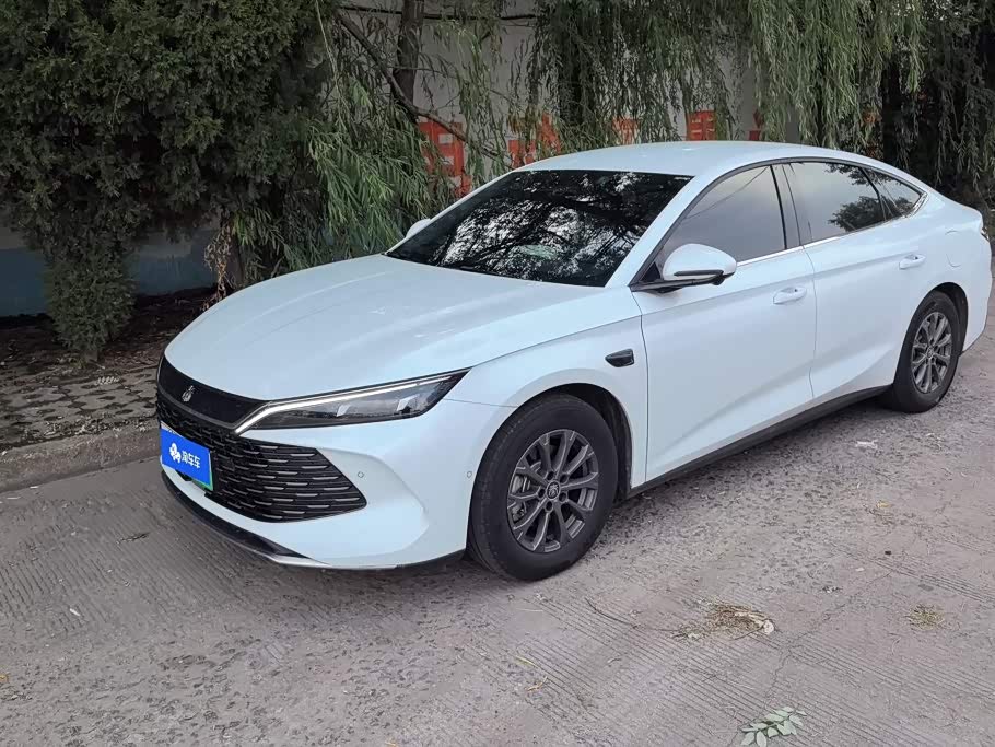BYD Qin L