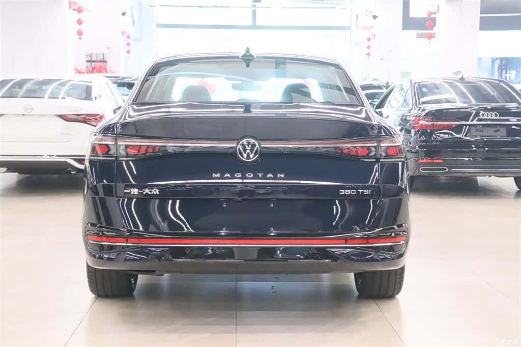 Volkswagen Magotan, 2024 4
