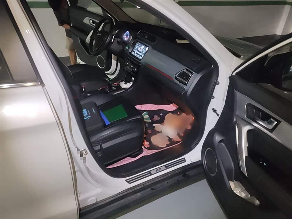 Haval H2