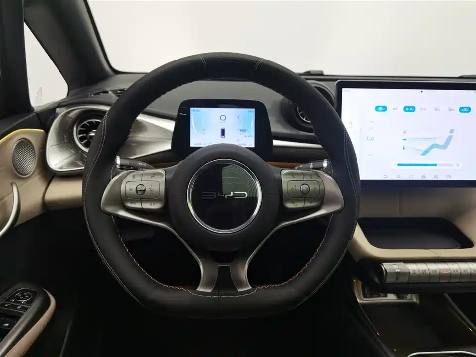 BYD dolphin