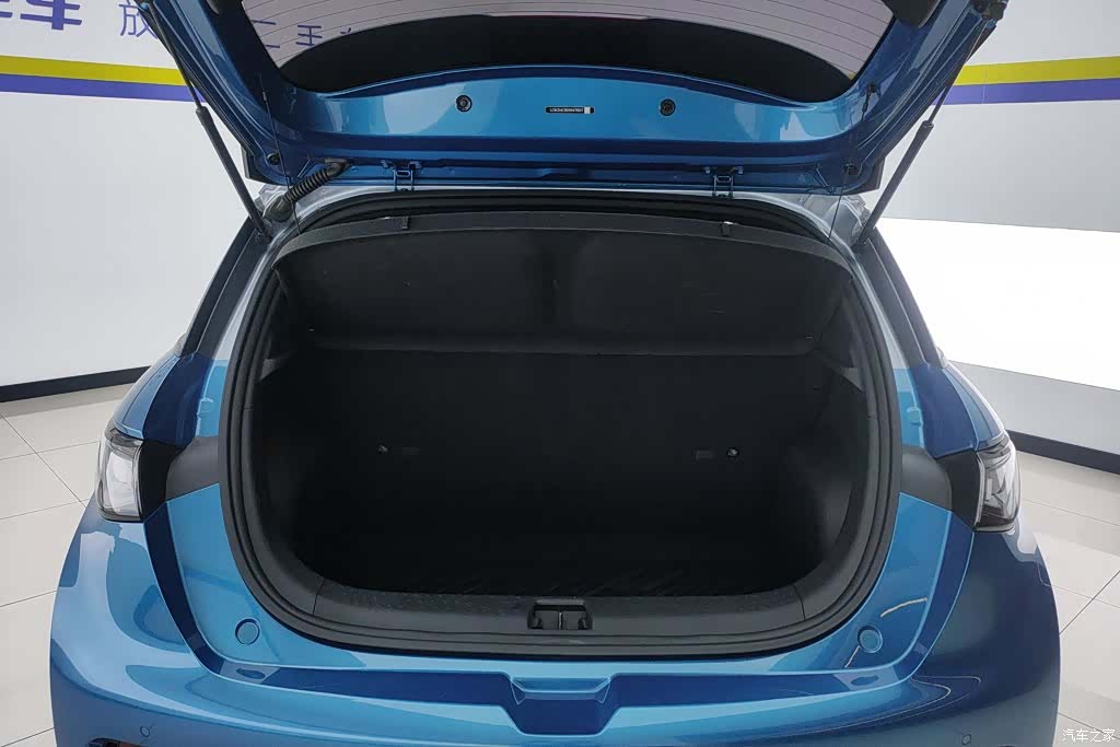 BYD Dolphin, 2022 4