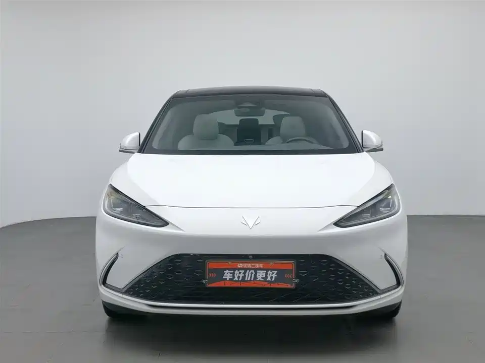 ARCFOX Polar Fox Alpha S