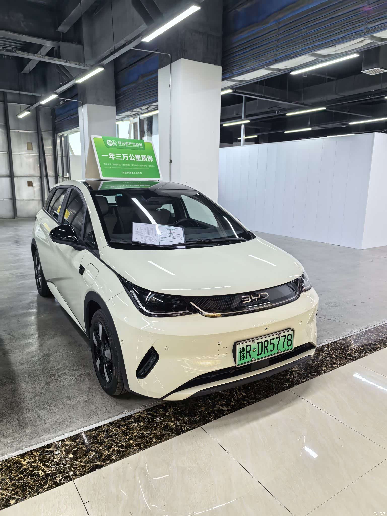 BYD Dolphin, 2025 3