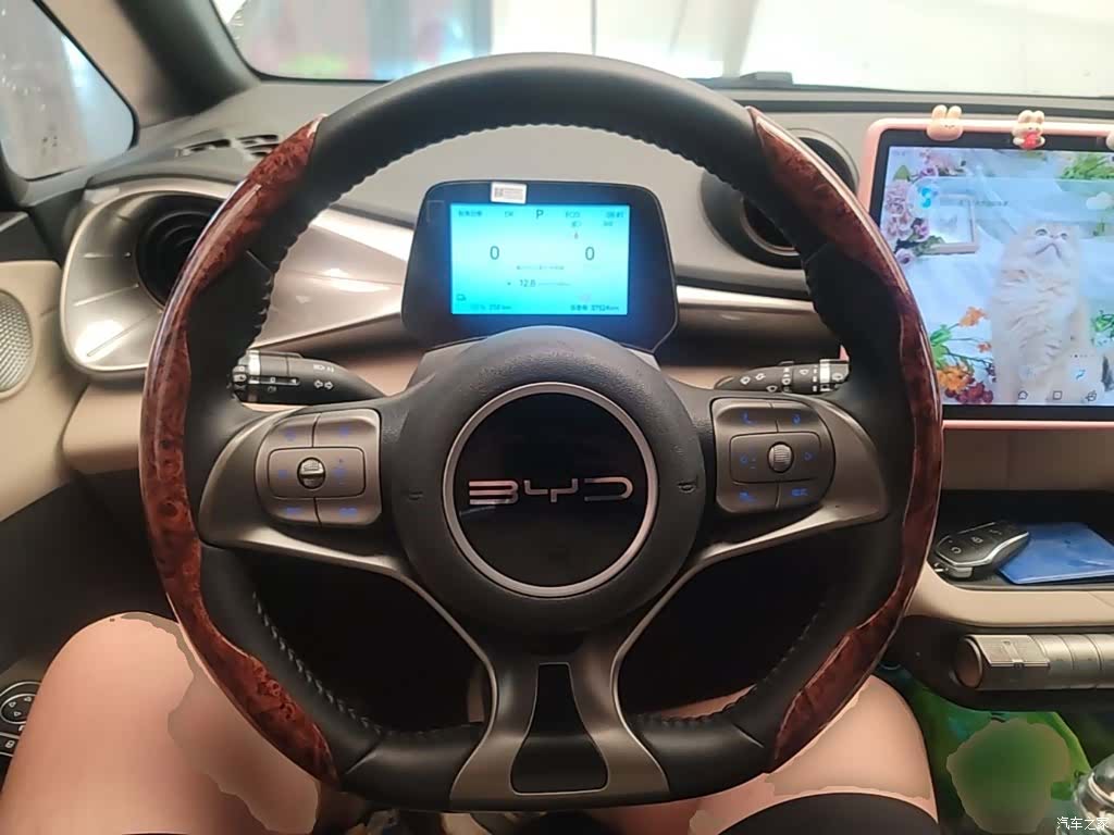 BYD Dolphin, 2024 11