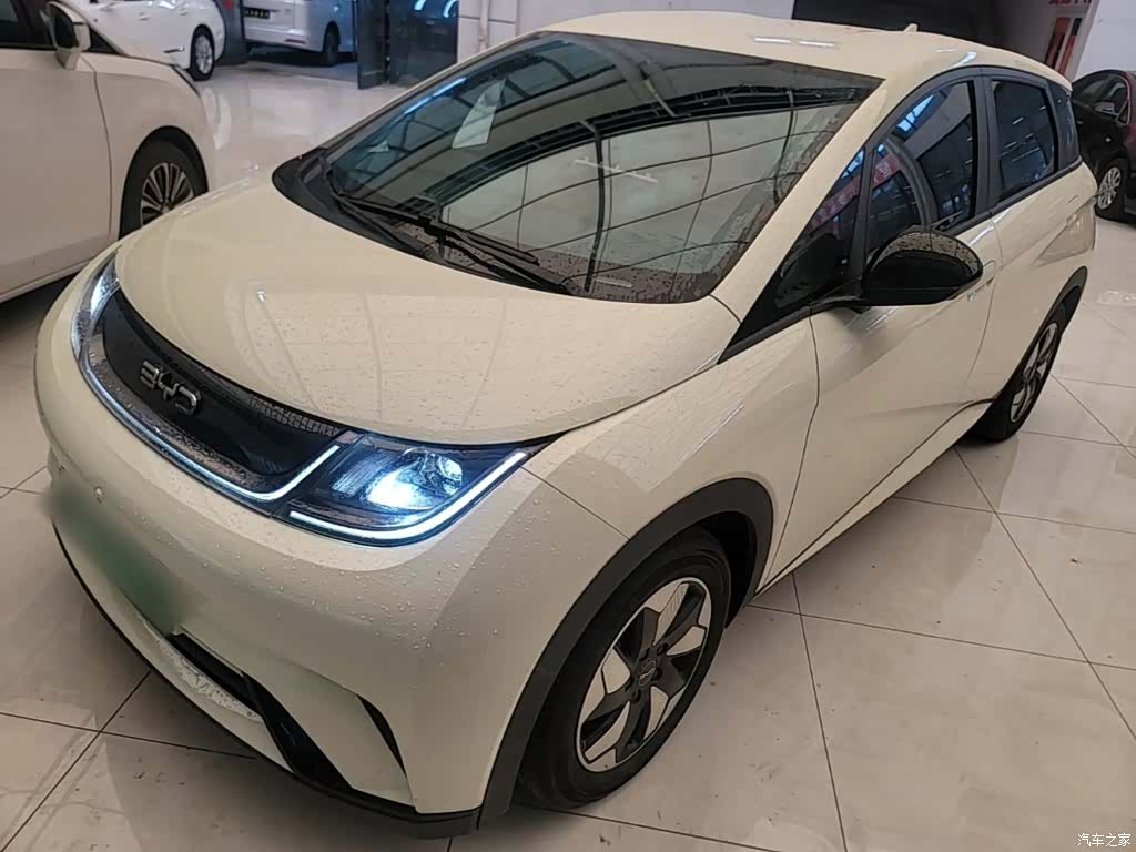BYD Dolphin, 2024 1