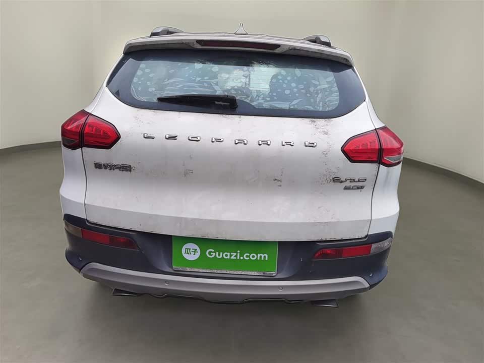 Leopaard Cheetah CS10