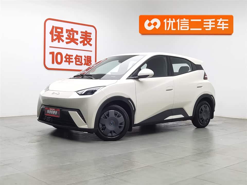 BYD Seagull
