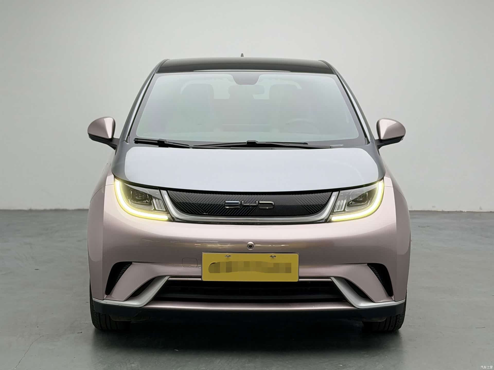 BYD Dolphin, 2022 2