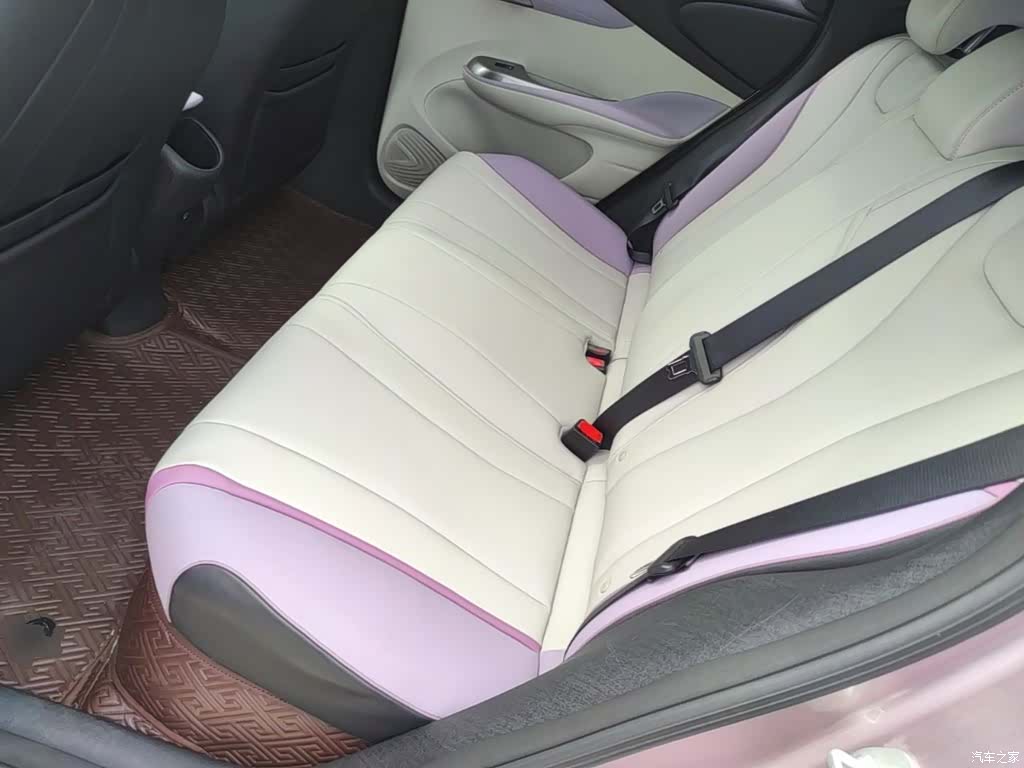 BYD Dolphin, 2022 17