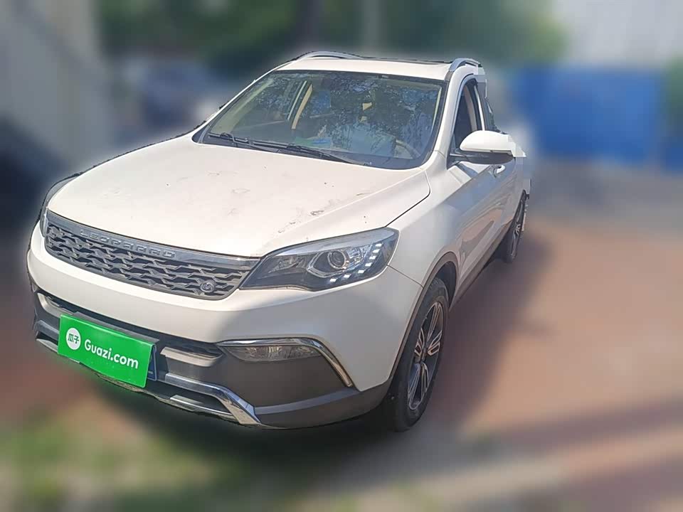 Leopaard Cheetah CS10