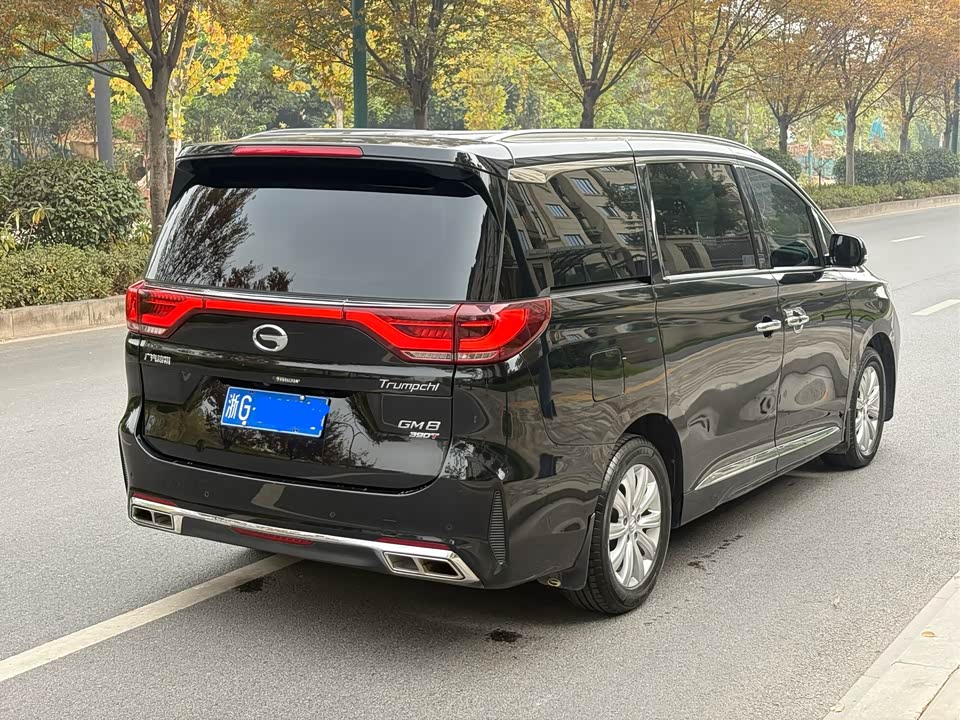 Trumpchi Trumpchi M8