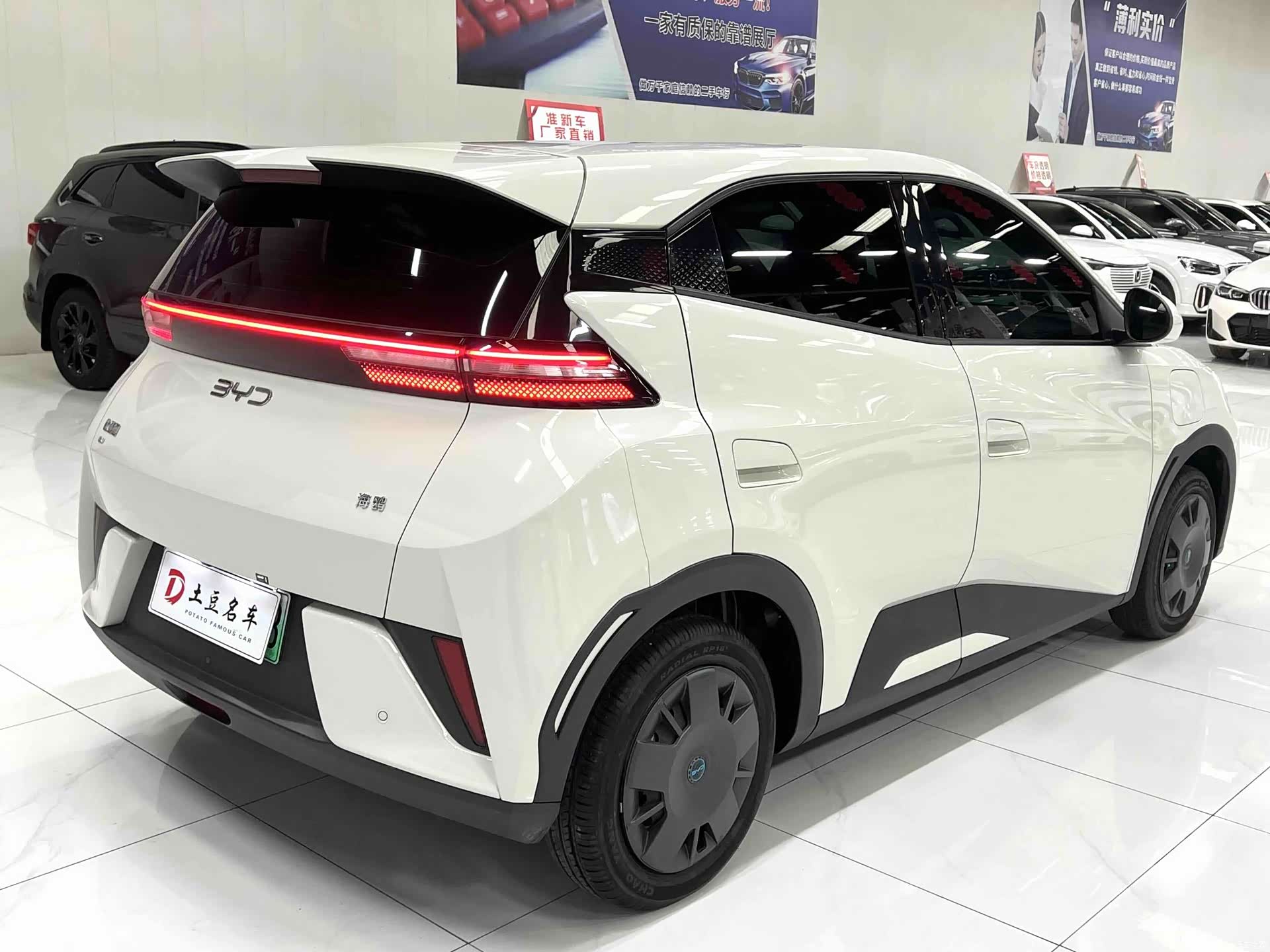 BYD Seagull, 2025 4